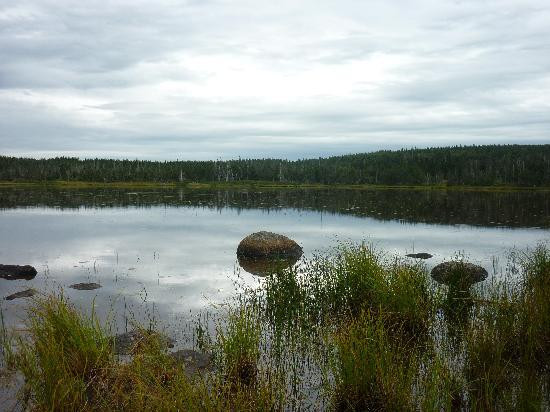 Cape Breton Highlands National Park景点图片