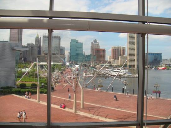 巴尔的摩内港-巴尔的摩必去景点