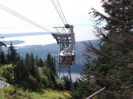 Grouse Mountain Skyride景点图片