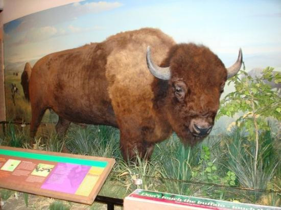 达勒姆博物馆-奥马哈必去景点