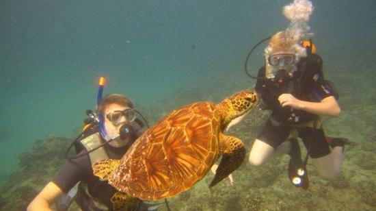 欧湖岛潜水之旅-火奴鲁鲁必去景点