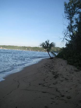 Ocean Echo Stables-Saint John Parish必去景点