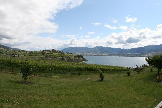 Poplar Grove Winery-彭蒂克顿必去景点