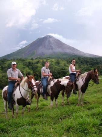 Montana Safari-福德圣卡洛斯必去景点