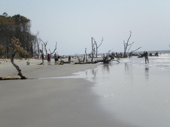Barrier Islands Eco Tours-棕榈岛必去景点