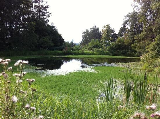 Montgomery Place-Annandale on Hudson必去景点