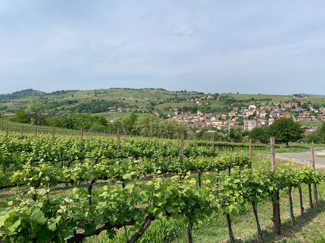 Tenuta Ballerio Quvestra景点图片