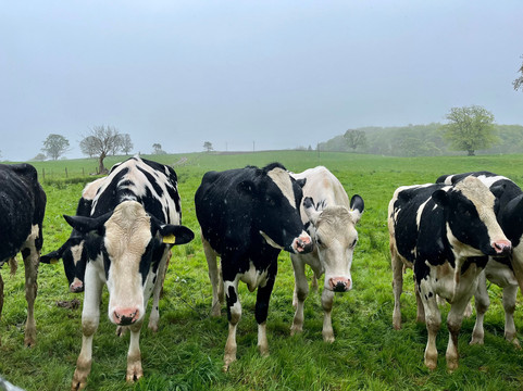 J & J Zan-kreyser Taxis Ltd & Tours-Rothesay必去景点