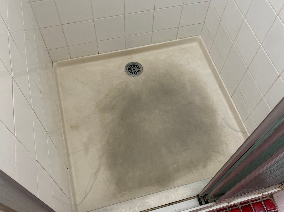 奥帕尔汽车旅店主图