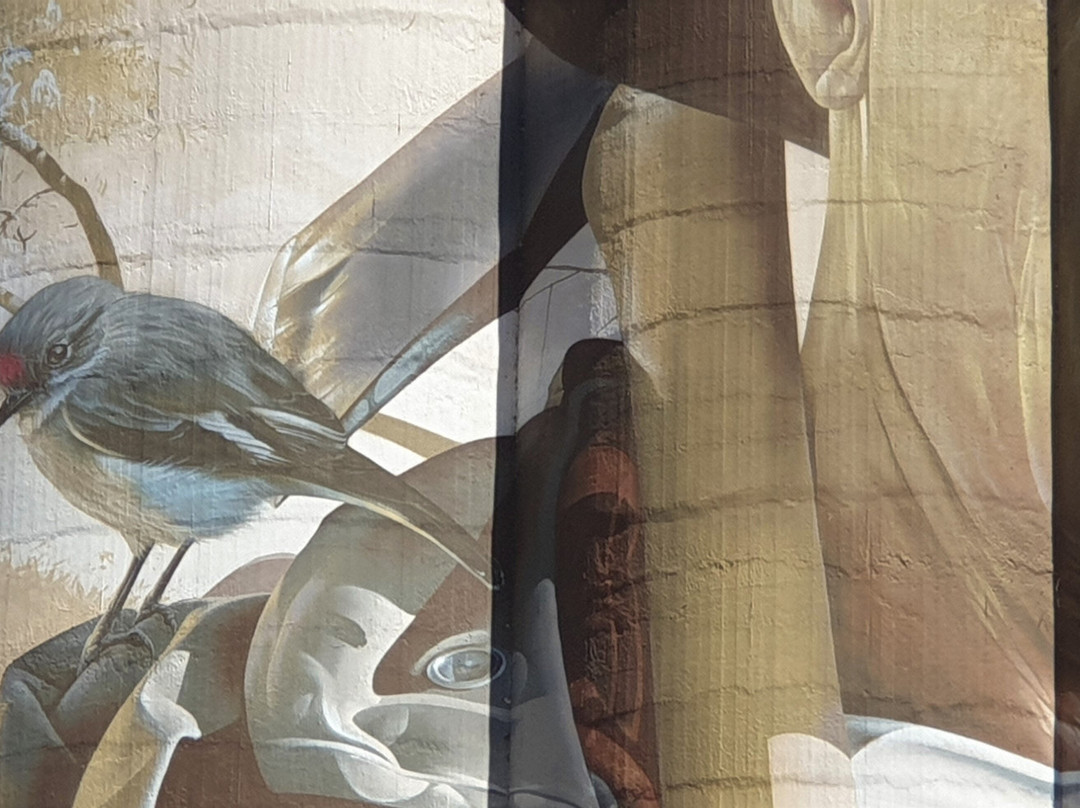 Wirrabara Silo Art景点图片