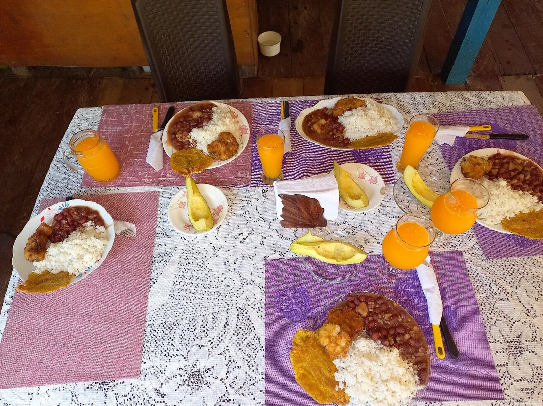 Puerto Nariño Lugar Pesebre Natural De Colombia景点图片