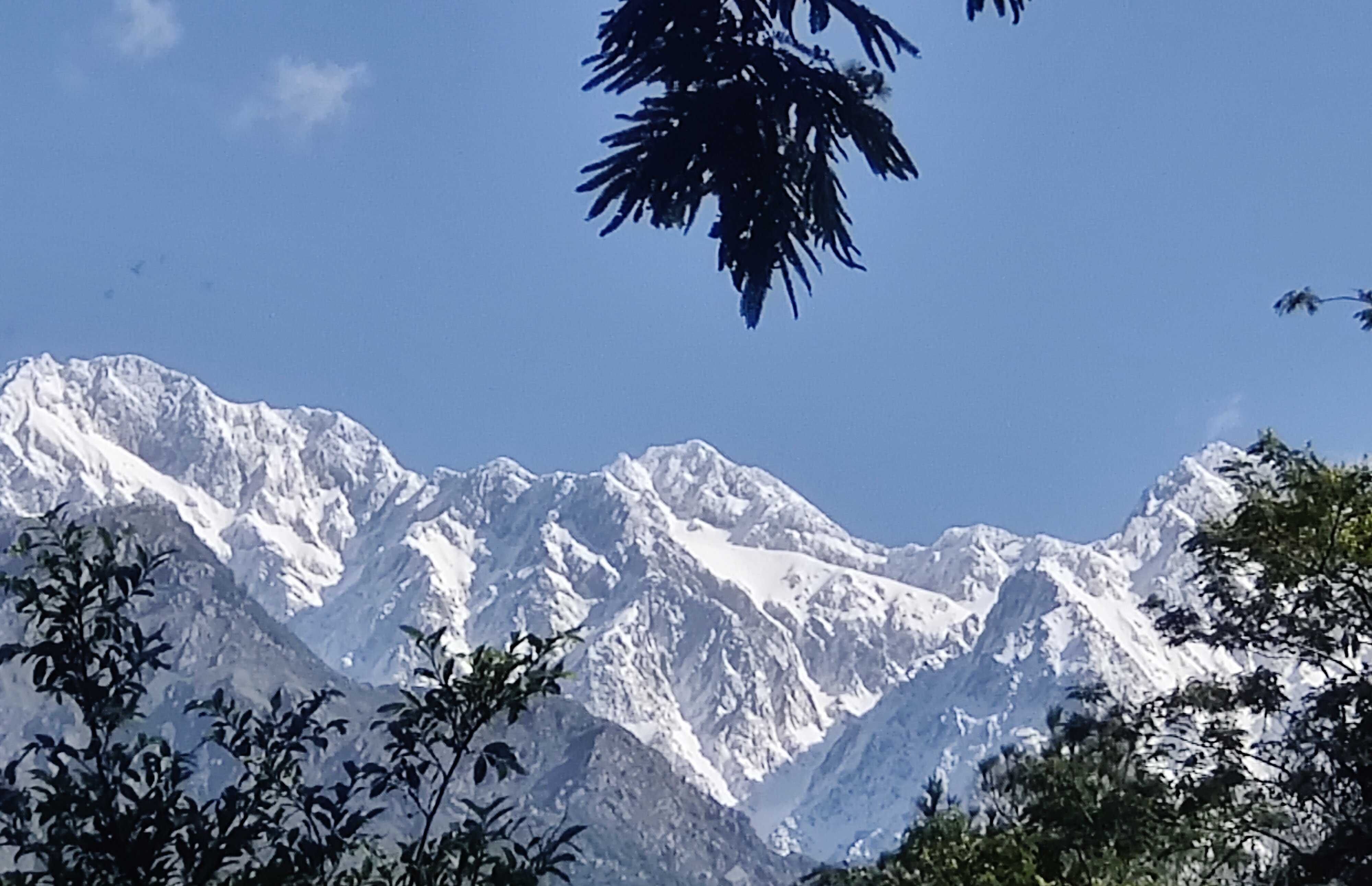 Infinitea Dakbunglow Palampur-官方