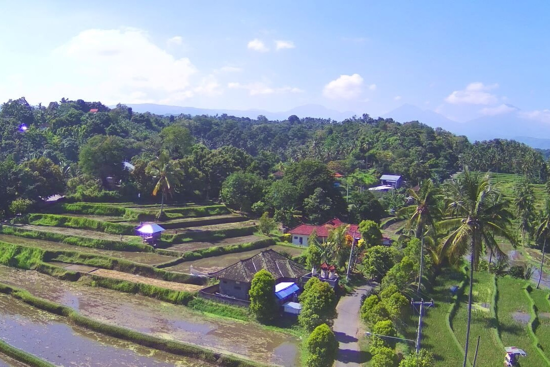 Taman Bidadari Waterfall (Subak Pohasem)景点图片