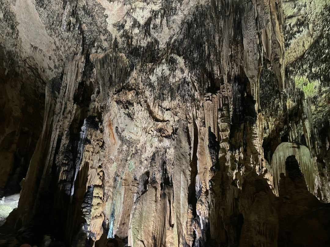 Cuevas de Arta景点图片