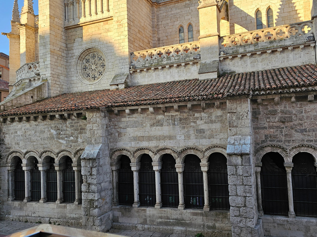 Nexus Valladolid Suites & Hotel主图