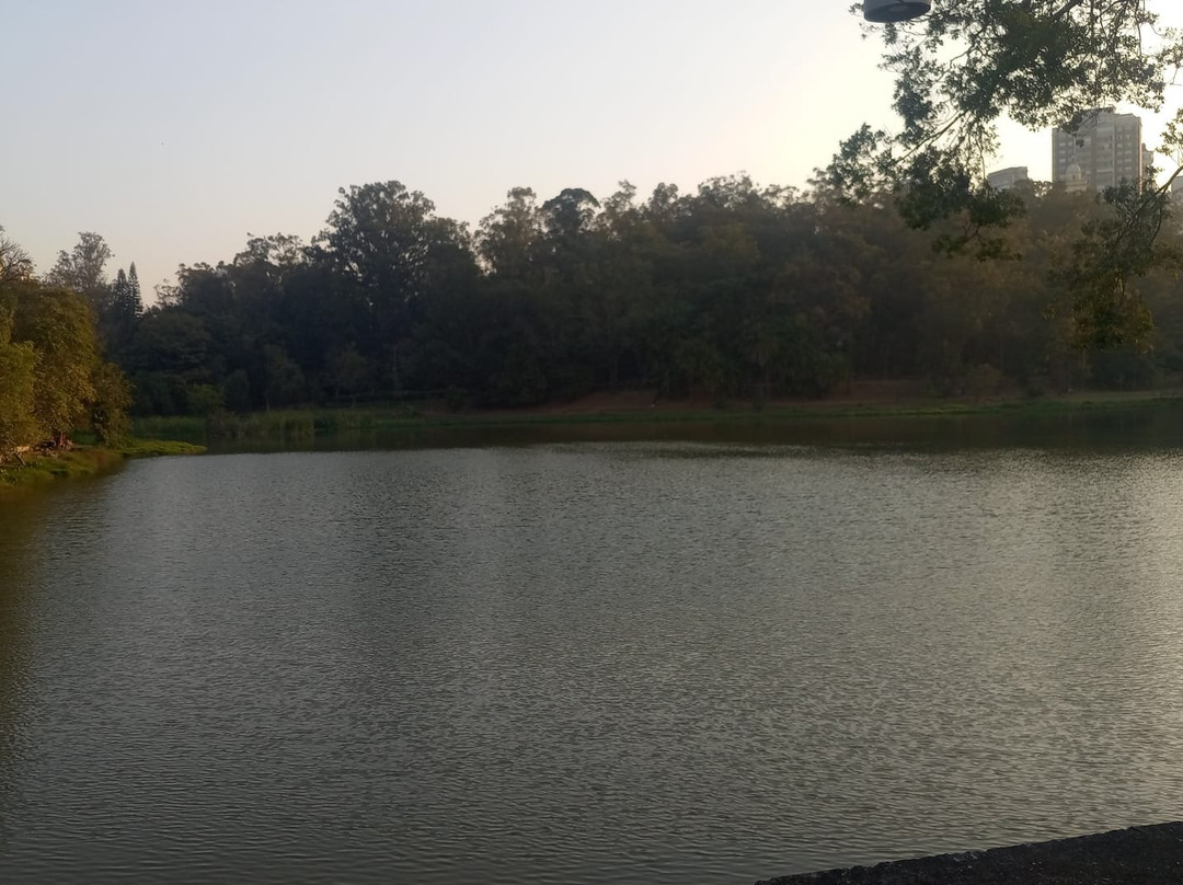 Parque da Aclimação-圣保罗必去景点