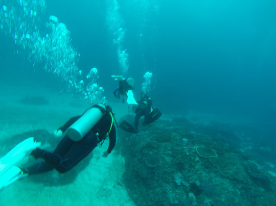 Bali Aqua Diving-沙努尔必去景点