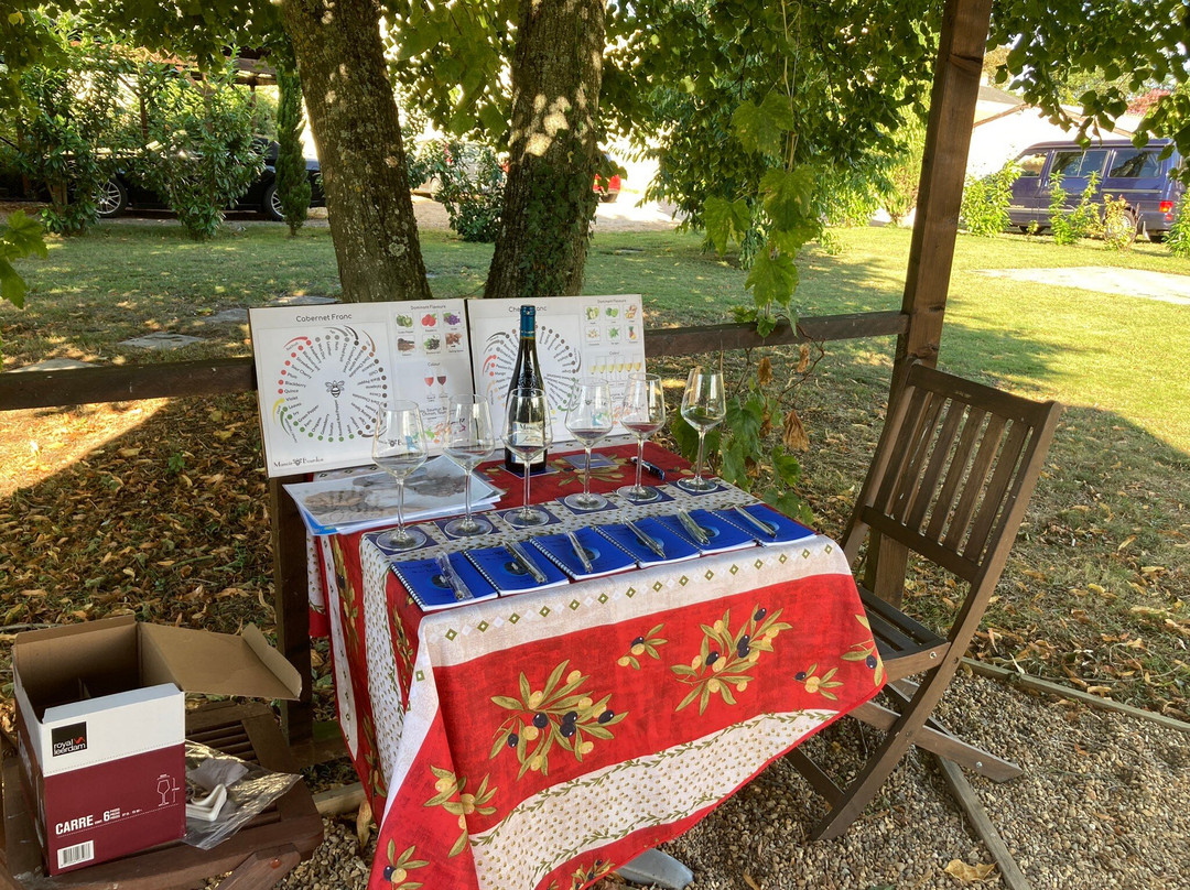 Bumblebee Tours - Loire Valley Wine Experience-梭缪尔必去景点