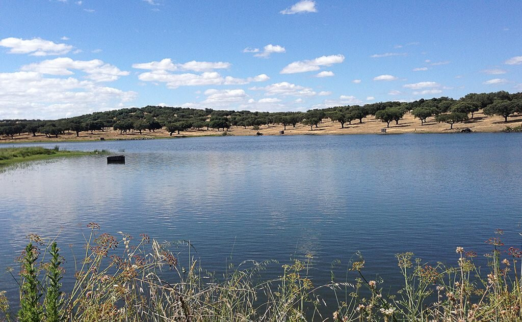 Monte Dos Cordeiros主图