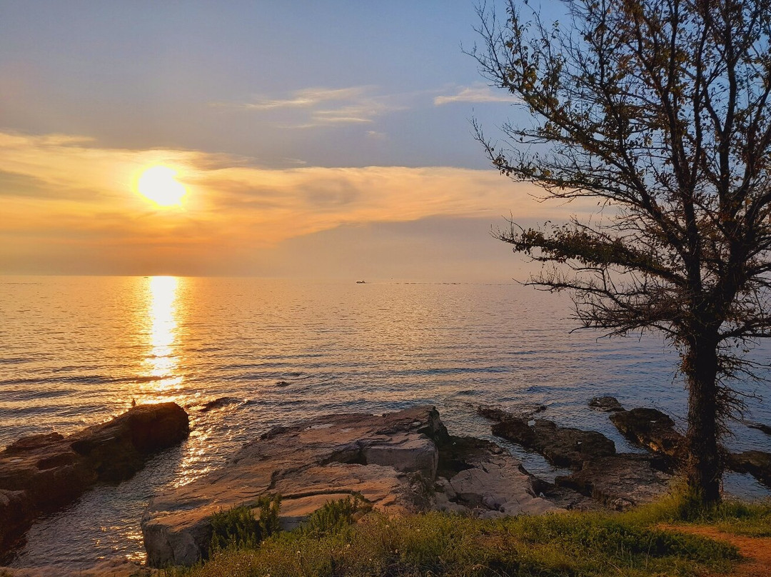 Savudrija Lighthouse-萨乌德里亚必去景点