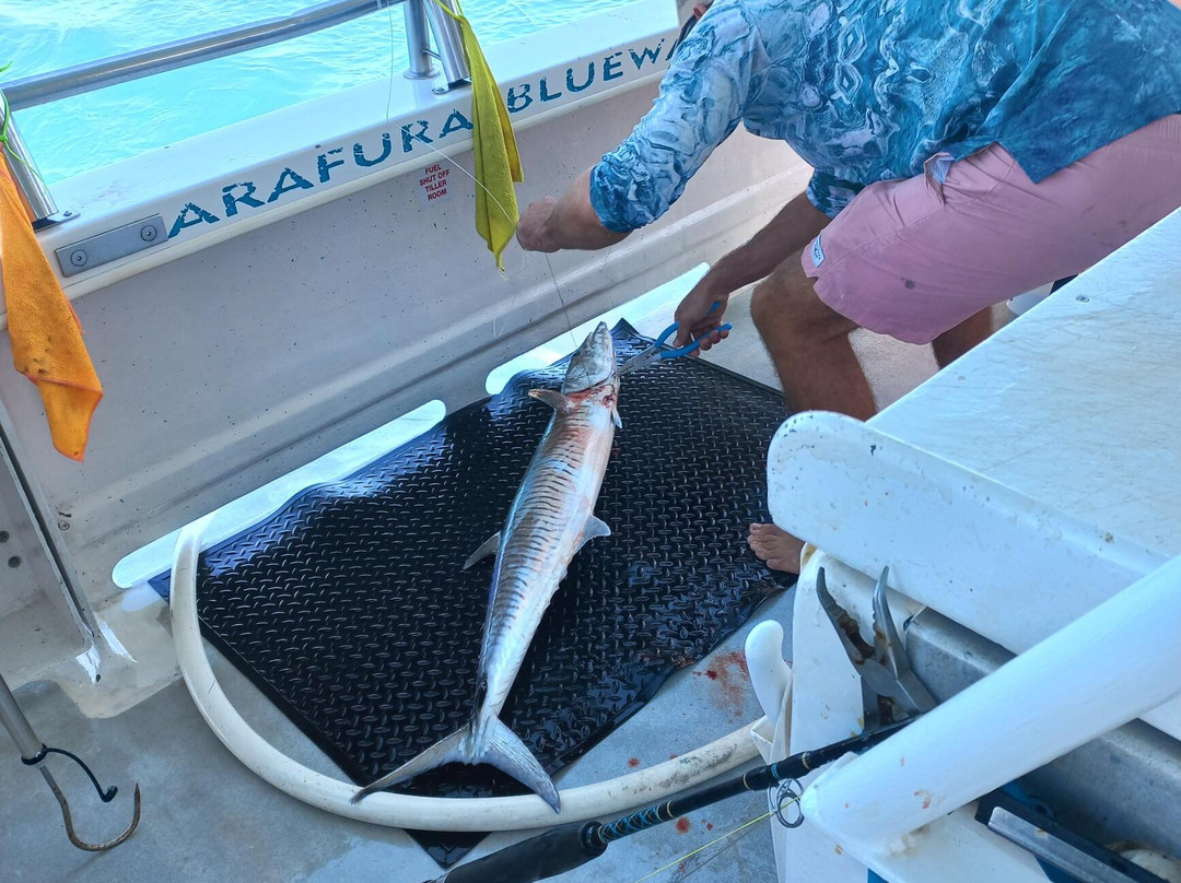 Arafura Bluewater Charters-达尔文市必去景点
