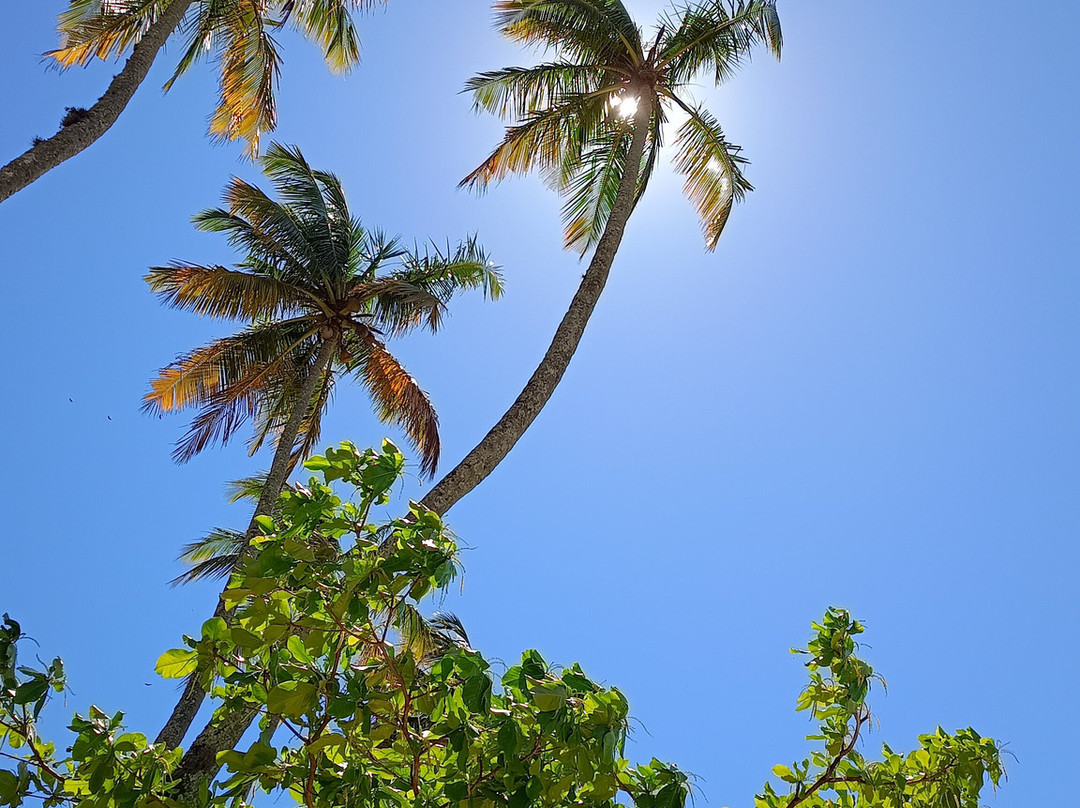 Pousada Refúgio do Capitão主图