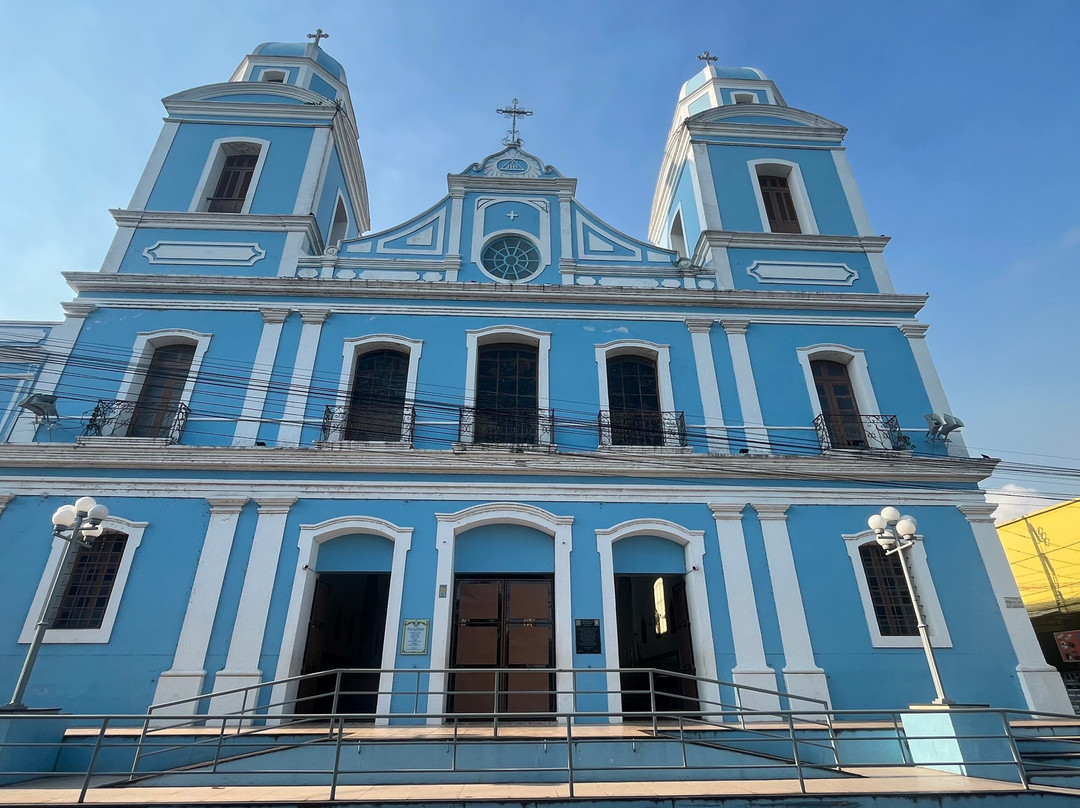 Catedral Metropolitana Nossa Senhora da Conceição景点图片