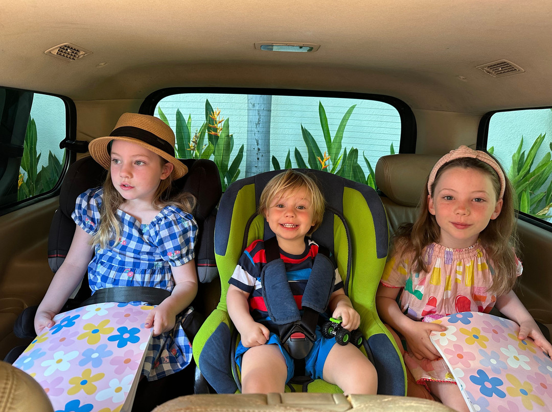 Epo Bali Driver-登巴萨必去景点