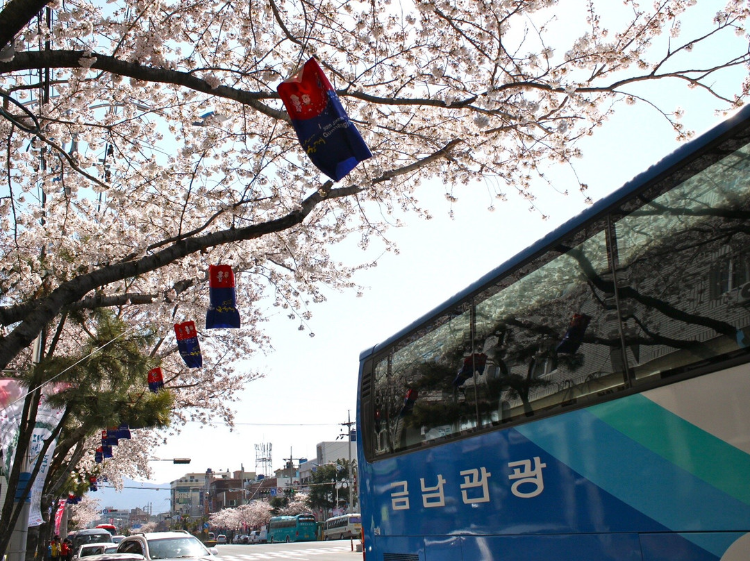 Yeojwacheon Stream-昌原市必去景点