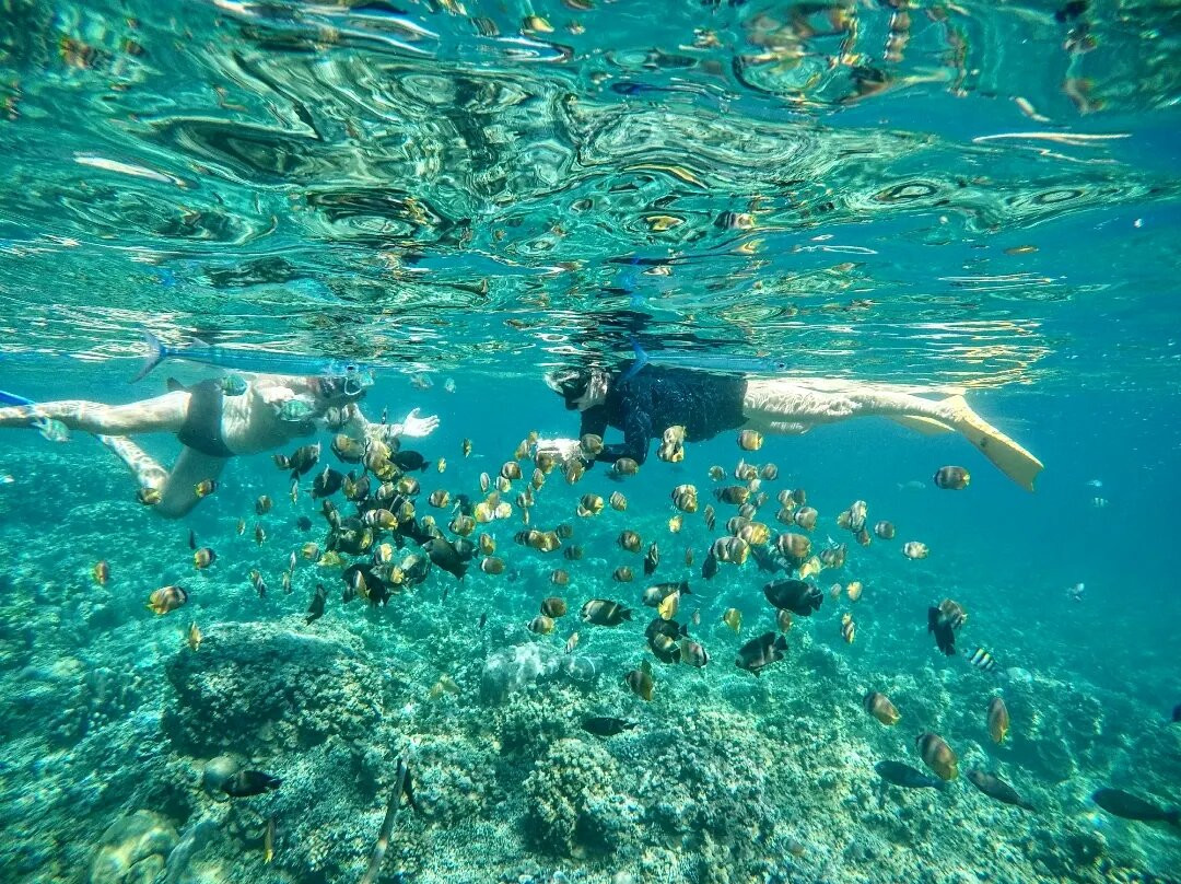 Tesoeshop Snorkeling Amed Bali景点图片