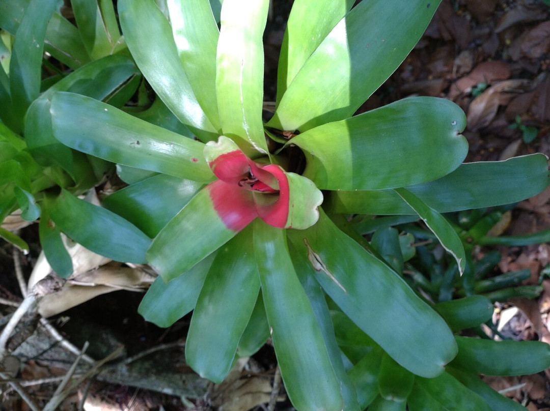 Taino Valley Tropical Park-Tubagua必去景点