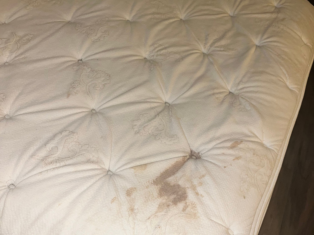 Key West Inn Tunica主图