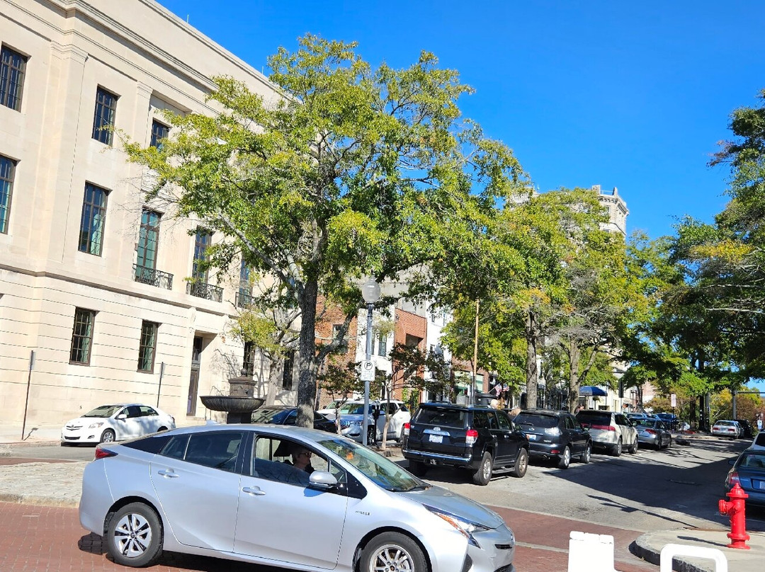 Taste Carolina Gourmet Food Tours-威尔明顿必去景点