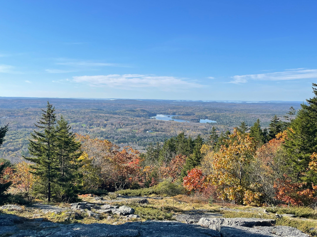 Barncastle Hotel & Restaurant主图