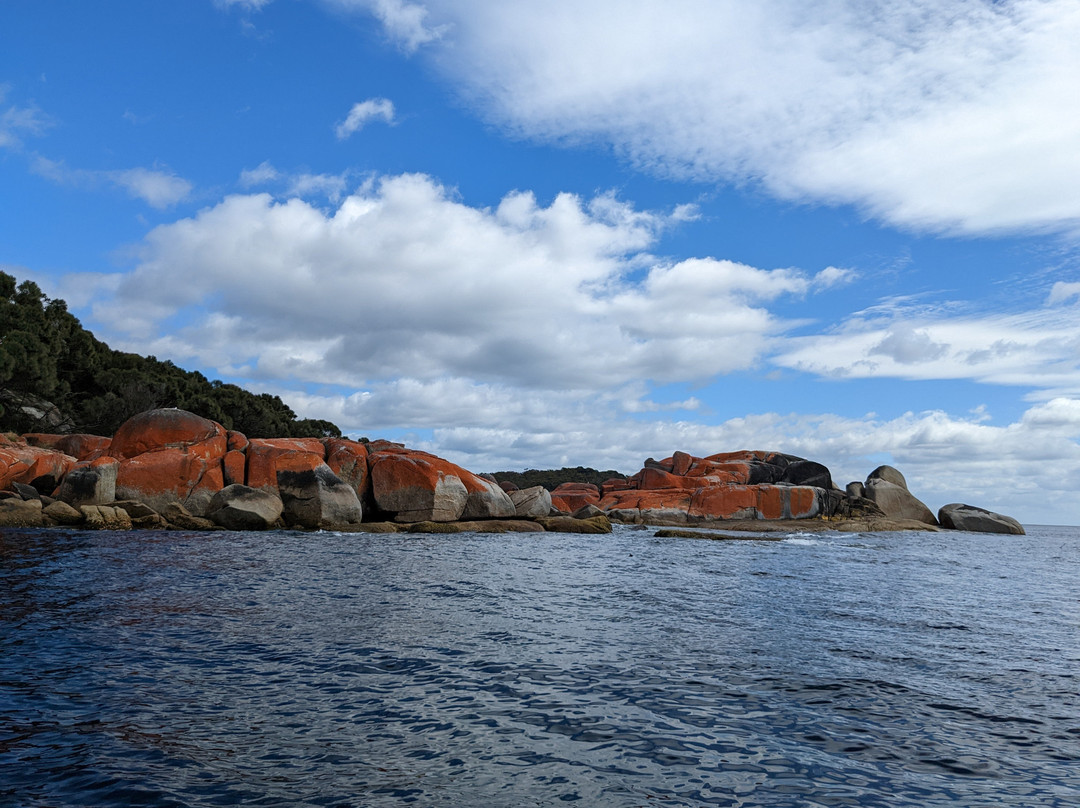 Bay of Fires Eco Tours景点图片