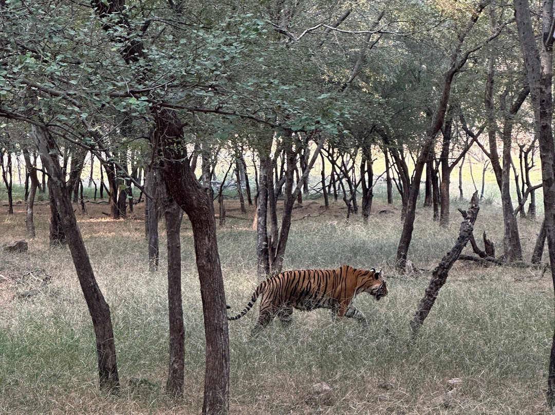 Royal Jaipur Tours-斋蒲尔必去景点