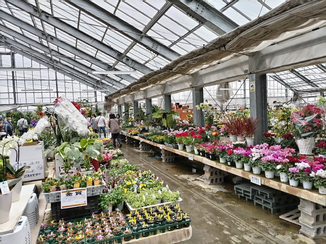 Michi-no-Eki Hanazono-深谷市必去景点