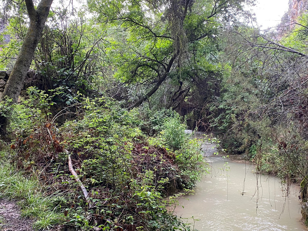 Hoces del Rio Mesa景点图片