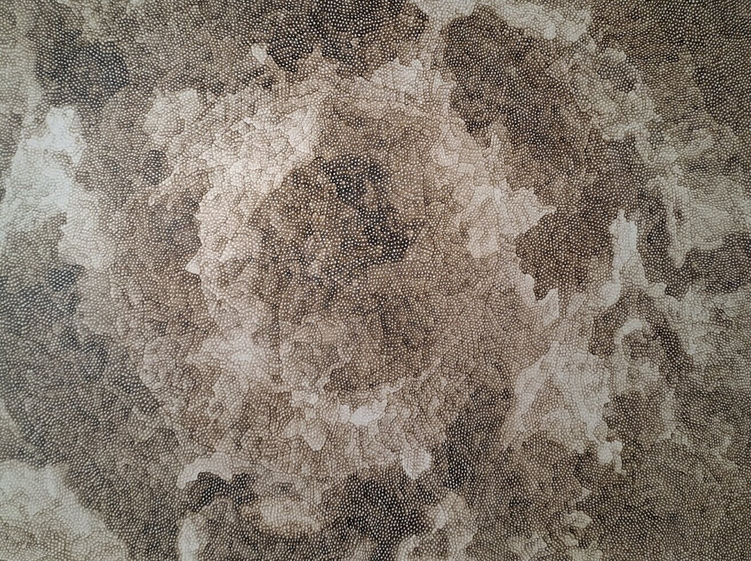 Centro de Arte Caja de Burgos-布尔戈斯省必去景点