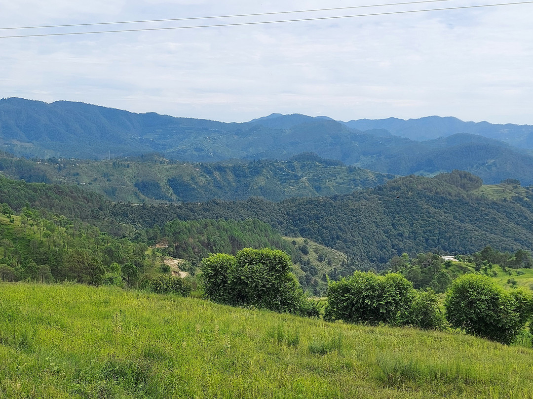 Almora District旅游攻略图片