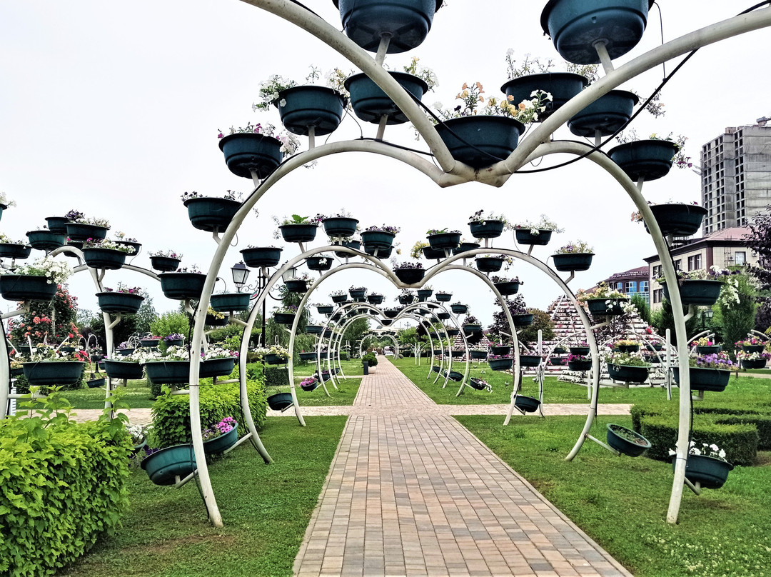 The Flower Park景点图片