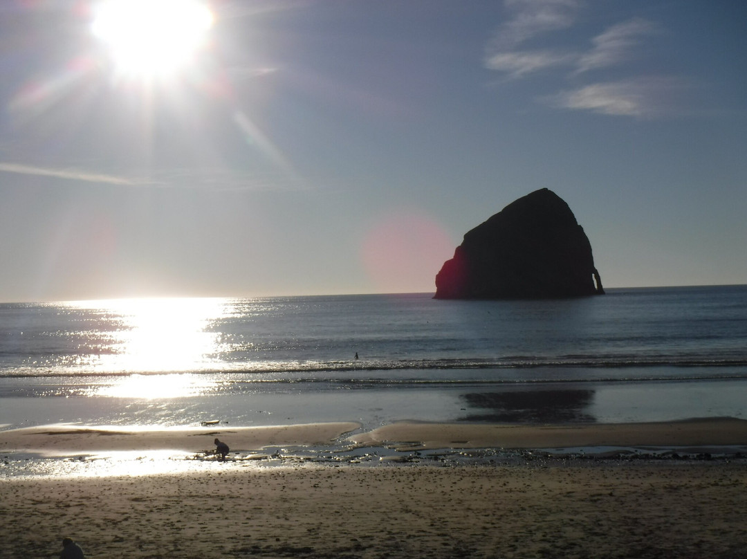 Pelican Brewing Company-太平洋城必去景点