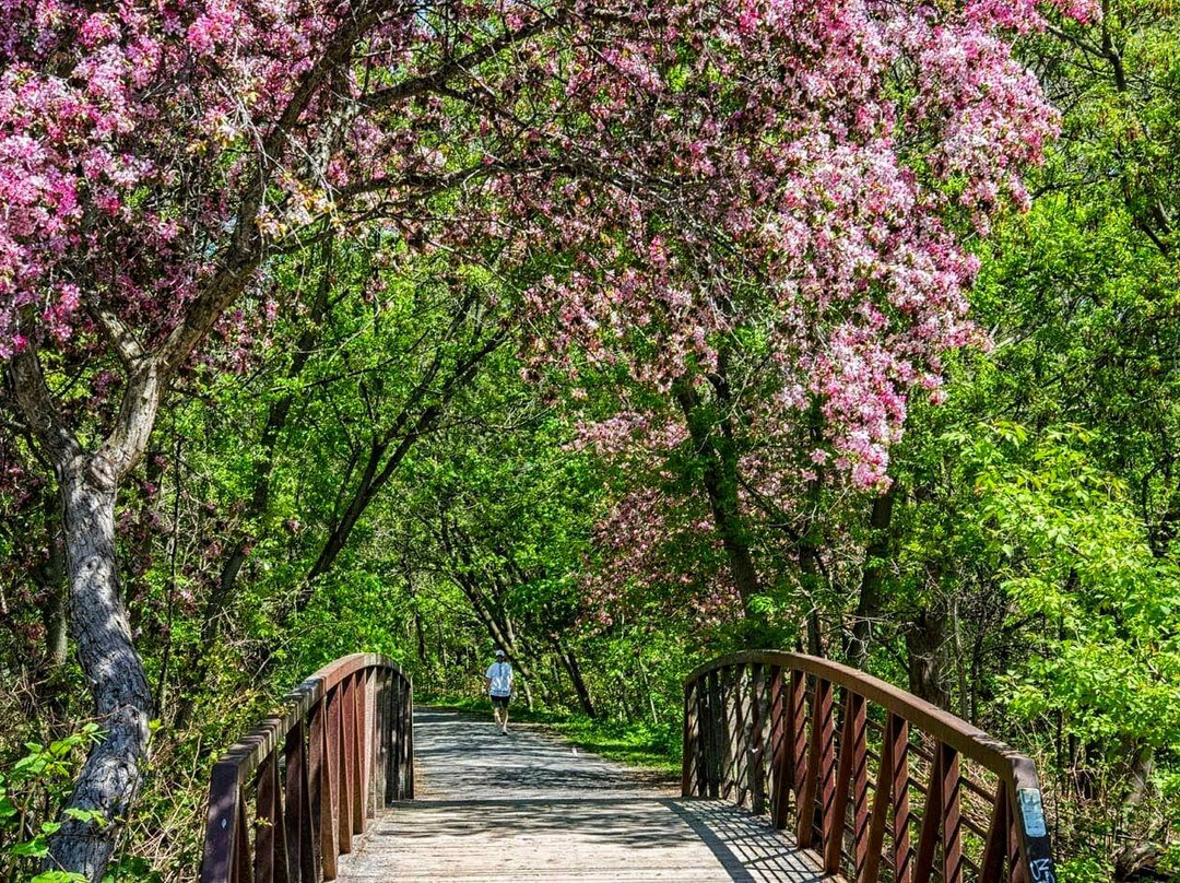 The Brock Trail景点图片