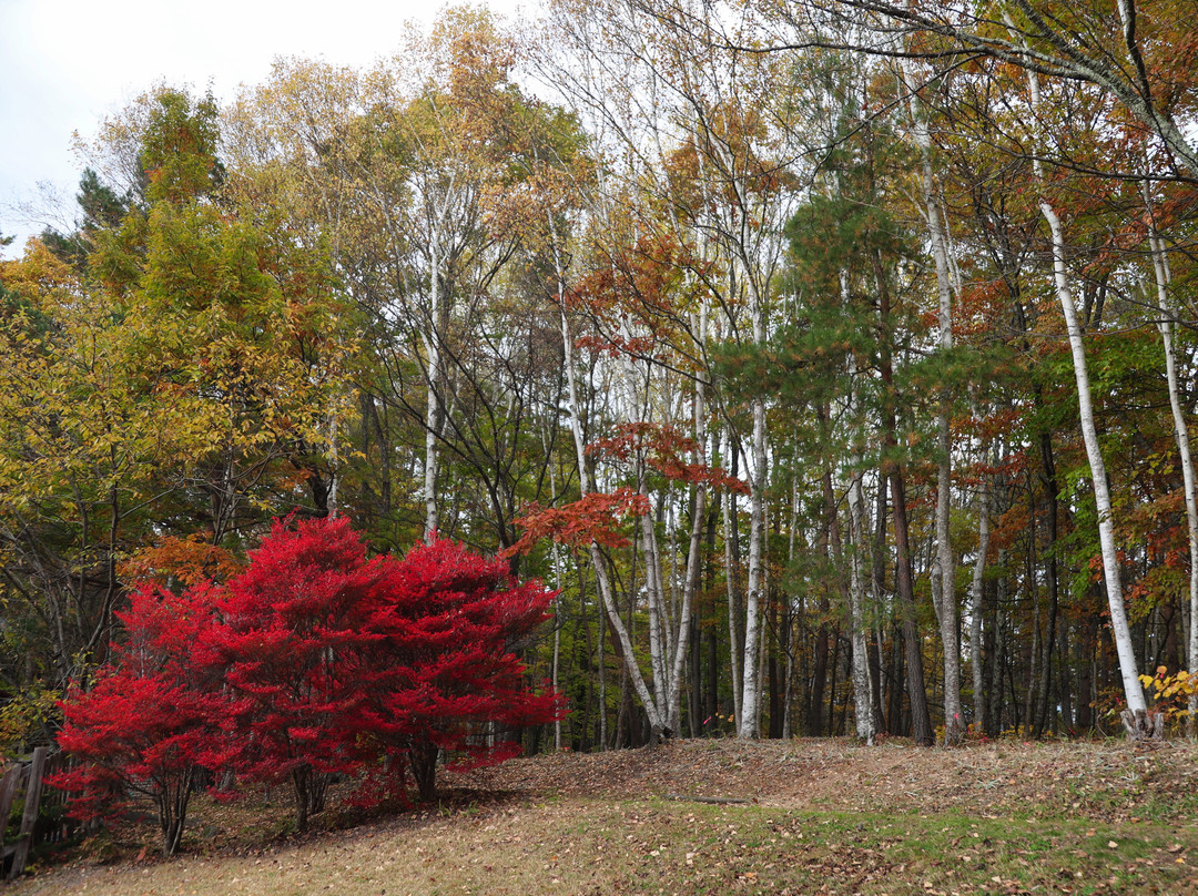 Yatsugatake Natural & Culture Park-原村必去景点
