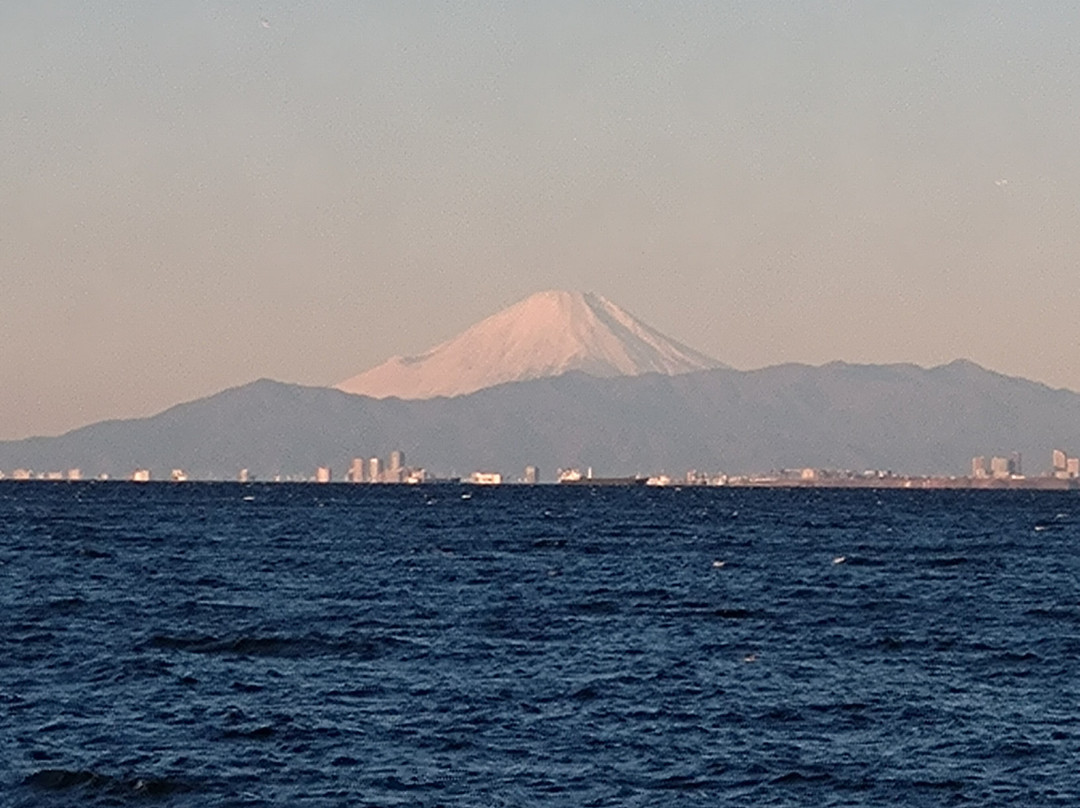 Inage Ocean Park-千叶市必去景点
