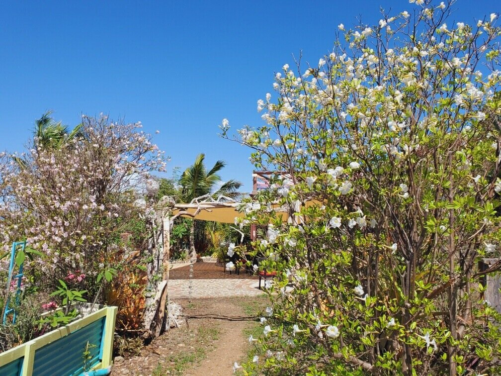 4 Elements Culinary & Wellness Center-Water Island必去景点