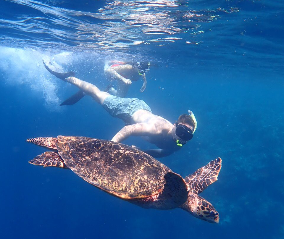 Snorkeling Menjangan Island景点图片