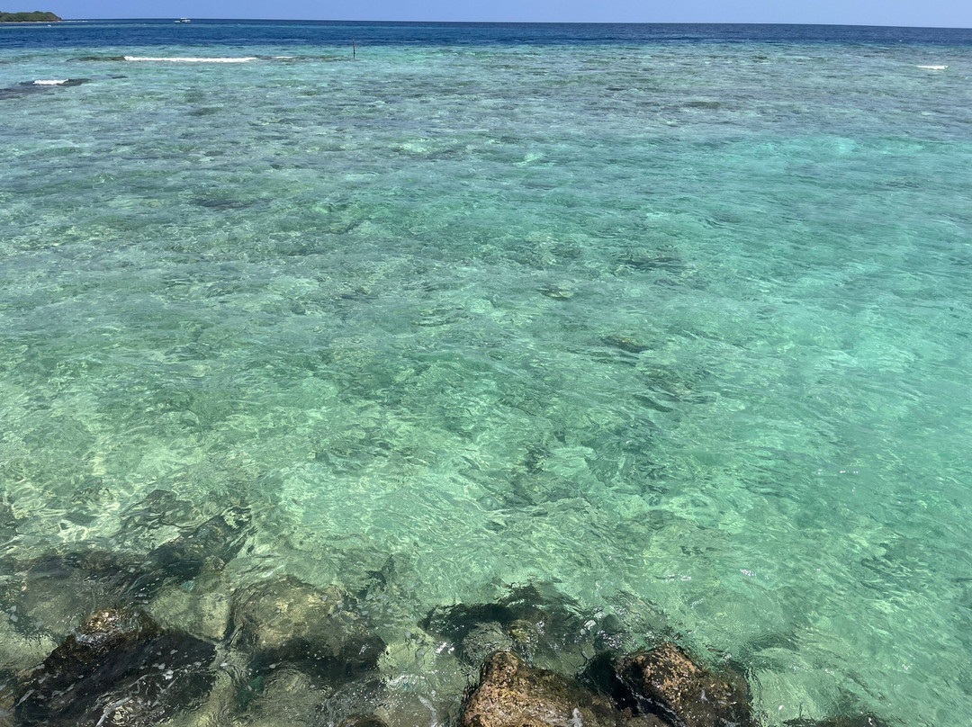 Summer Vibes Beach Front主图