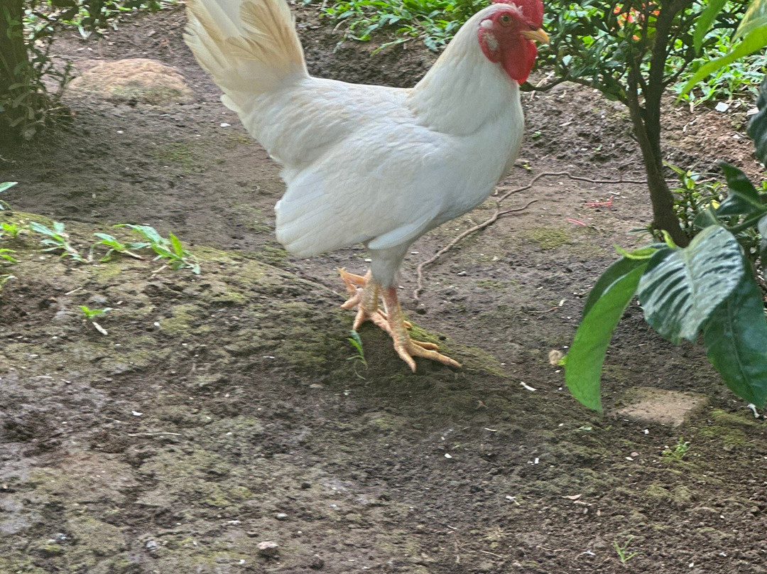 Poza Blanca Lodge主图