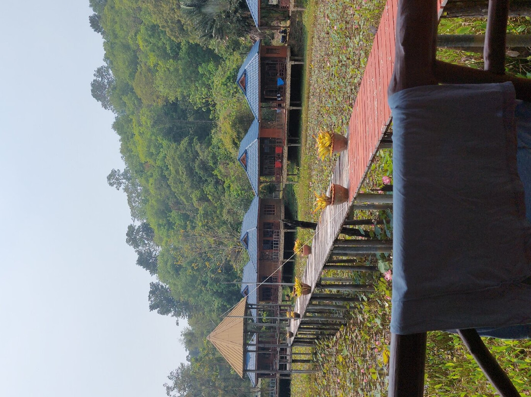 蓝光温泉度假村主图